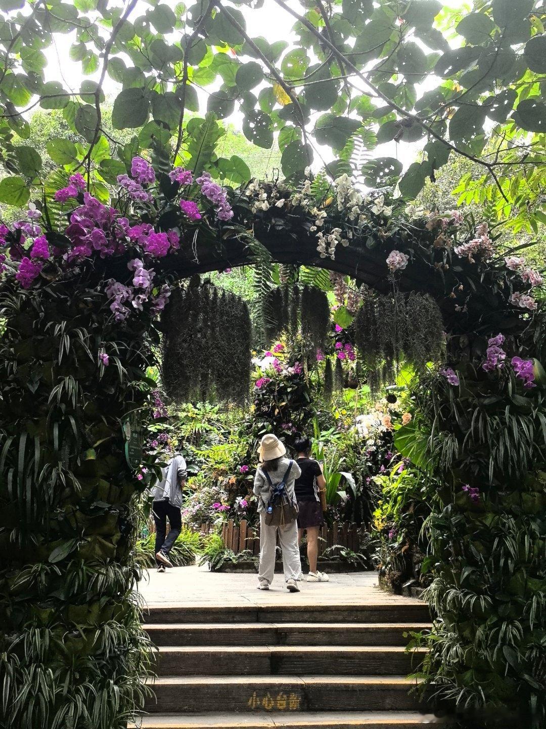 生物多样性除了动物保护，植物多样性保护也很重要。 