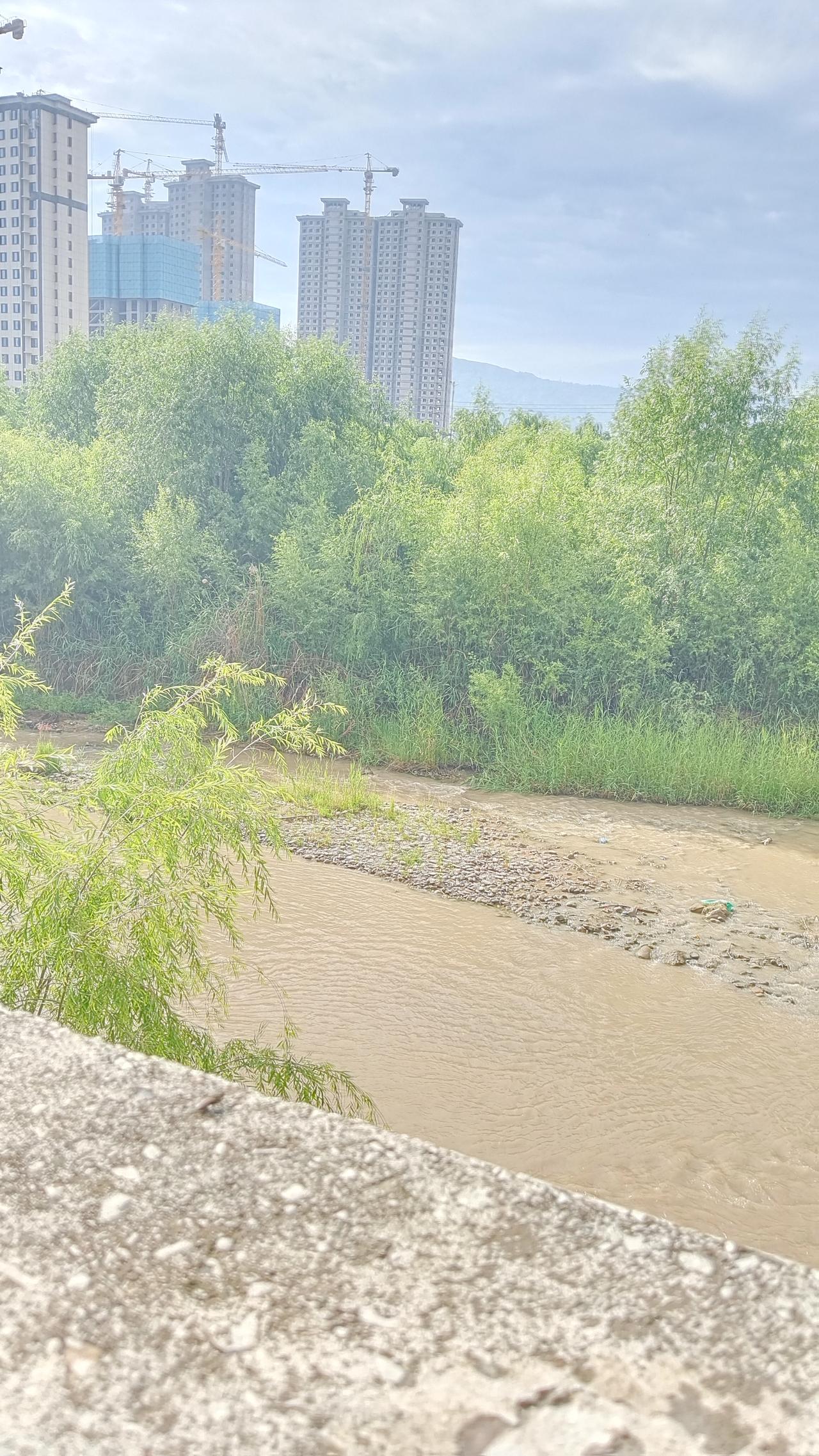 记录我的2026 城市与自然的交融，静谧的河流旁，高楼林立，生机盎然。在这独特的