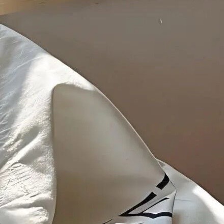 生活手记  彼此都客气点，我的善解人意是看人的。 