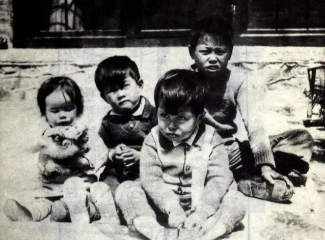 1935年，杨振宁和弟弟杨振平、杨振汉、妹妹杨振玉，一张罕见的合影，照片中的兄妹