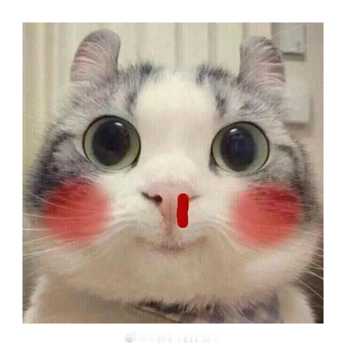 什么时候能让我看于适和欧豪共演个硬汉片子 ​​​