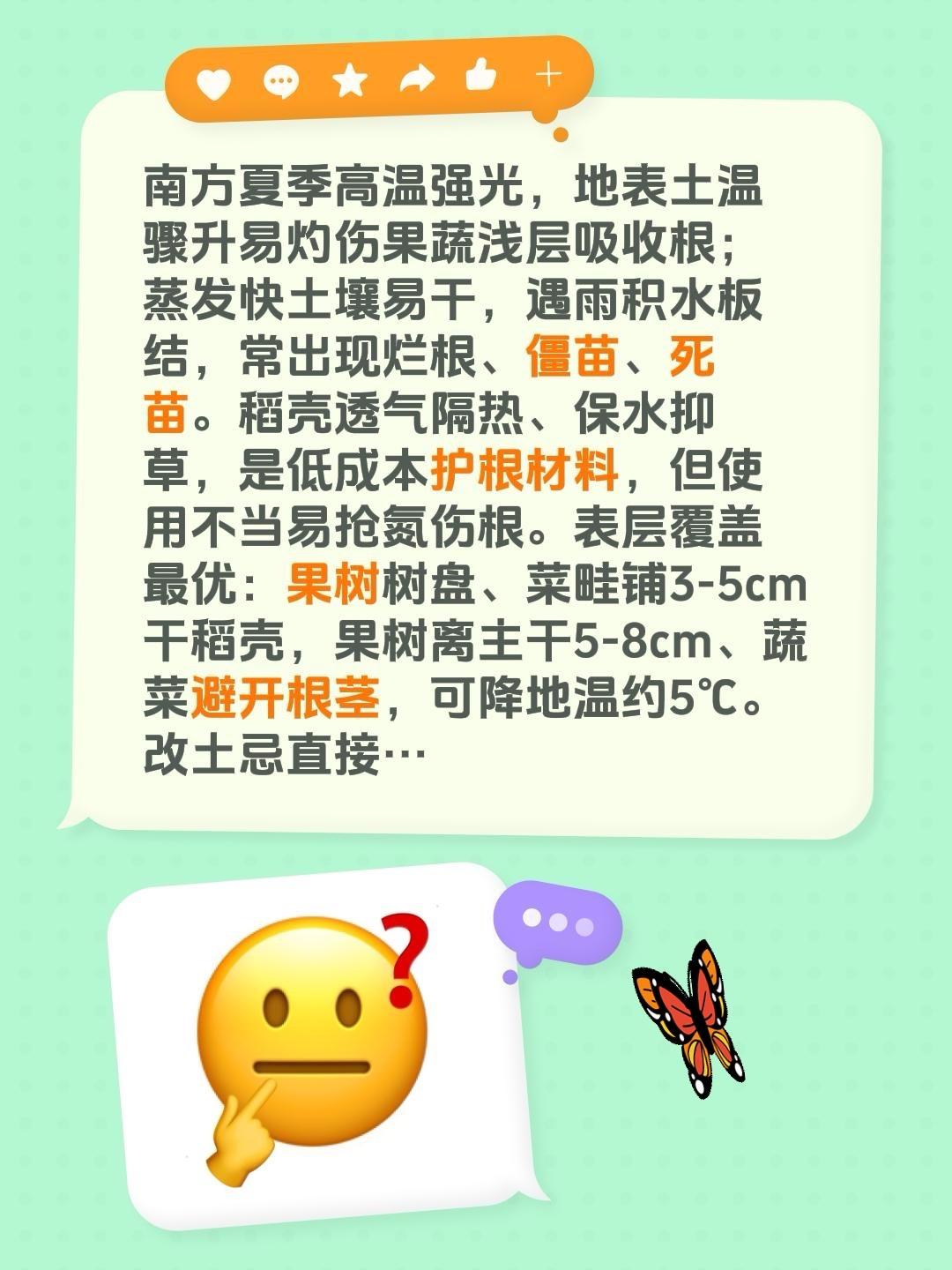 夏季使用稻壳注意事项！我评论了@天宝农业技术服务 的作品：
南方夏季高温强光，地