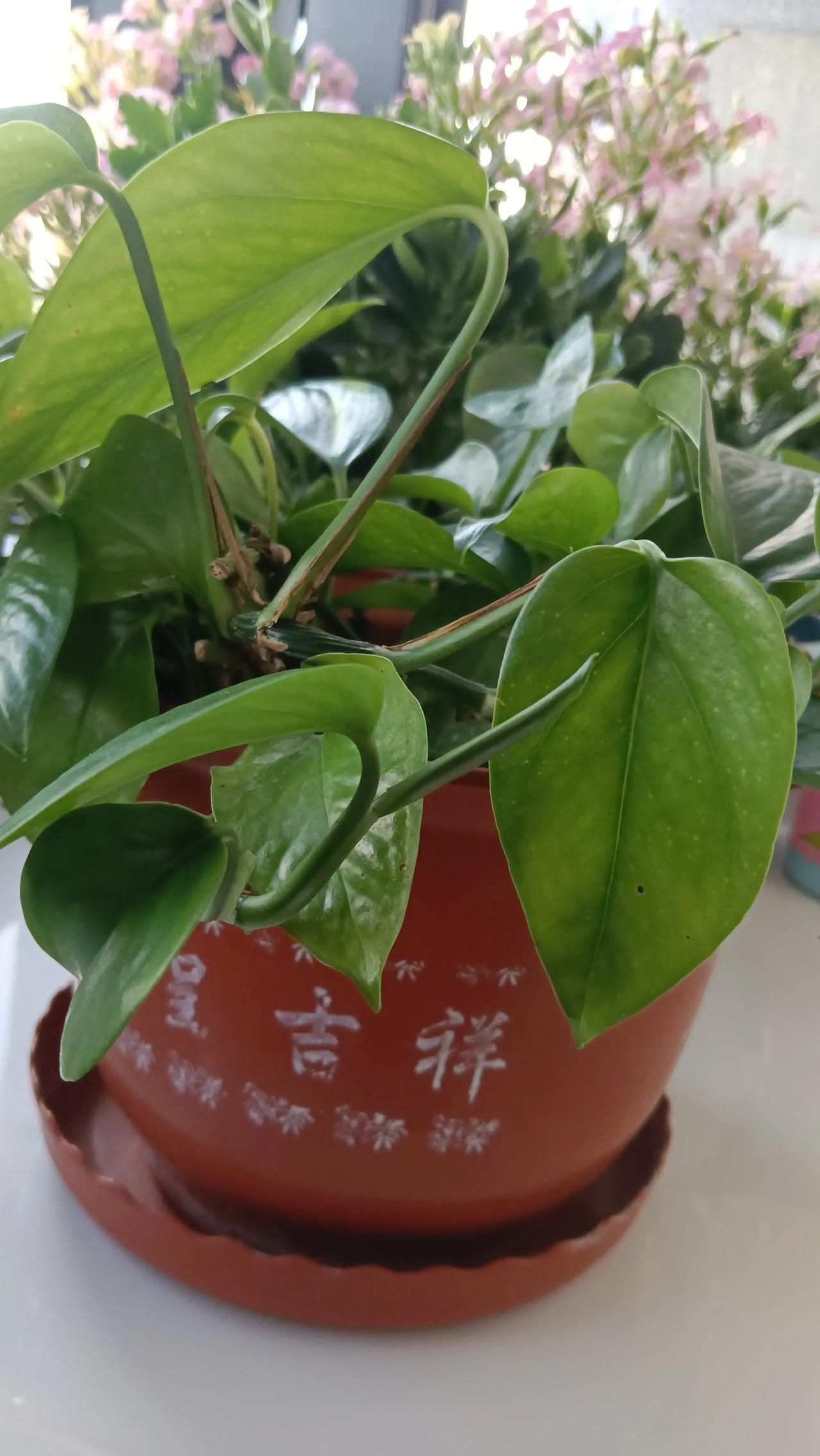 媒体的作用真的很重要
有些知识 哲理性的东西
可以在不经意间得到
把你的所想的 