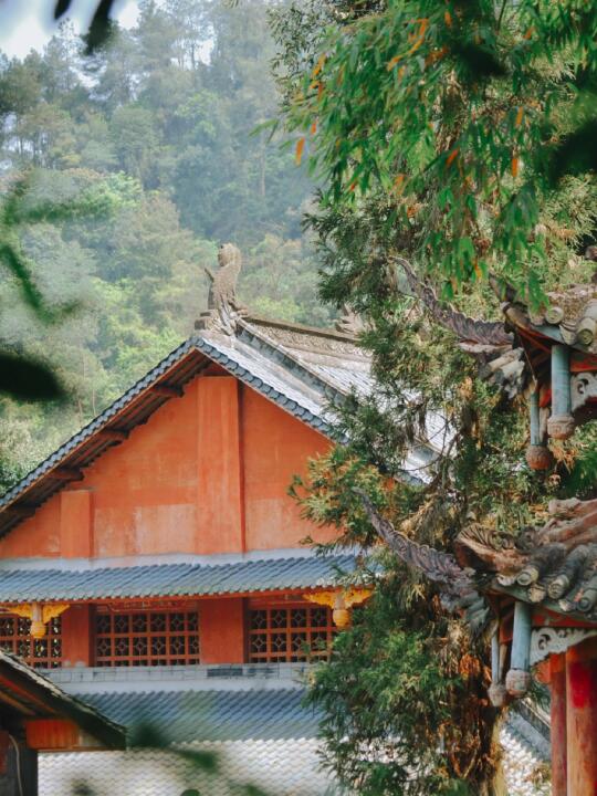 眉山可不只有三苏祠|13个小众旅游好去处