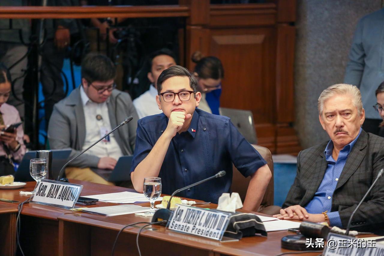 菲律宾参议员巴姆·阿基诺反对全面禁止暴力电子游戏，称目前并无证据表明电子游戏与校