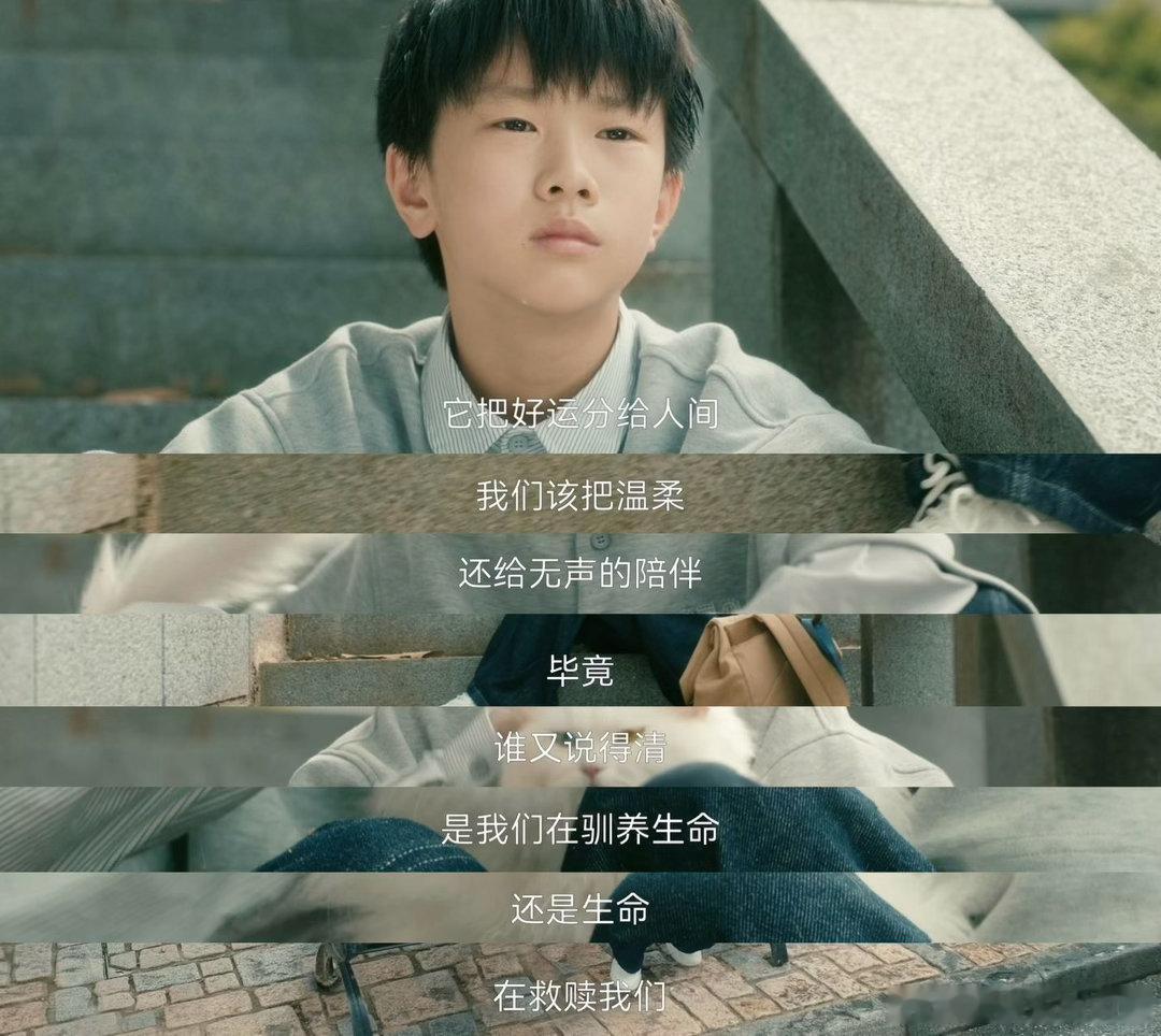 灵魂摆渡为猫咪演技正名🍃铃铃身世惹人怜惜，福神猫咪默默守护全程，安静陪伴的神态