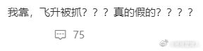 是那个飞升顶流的一天吗？ 