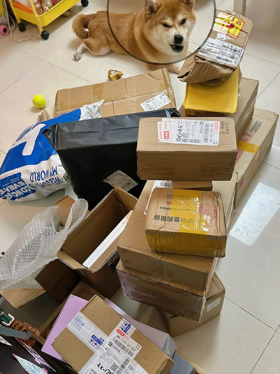 妈 差不多得了