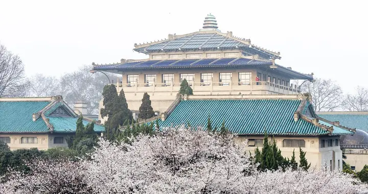 985高校，领导班子调整