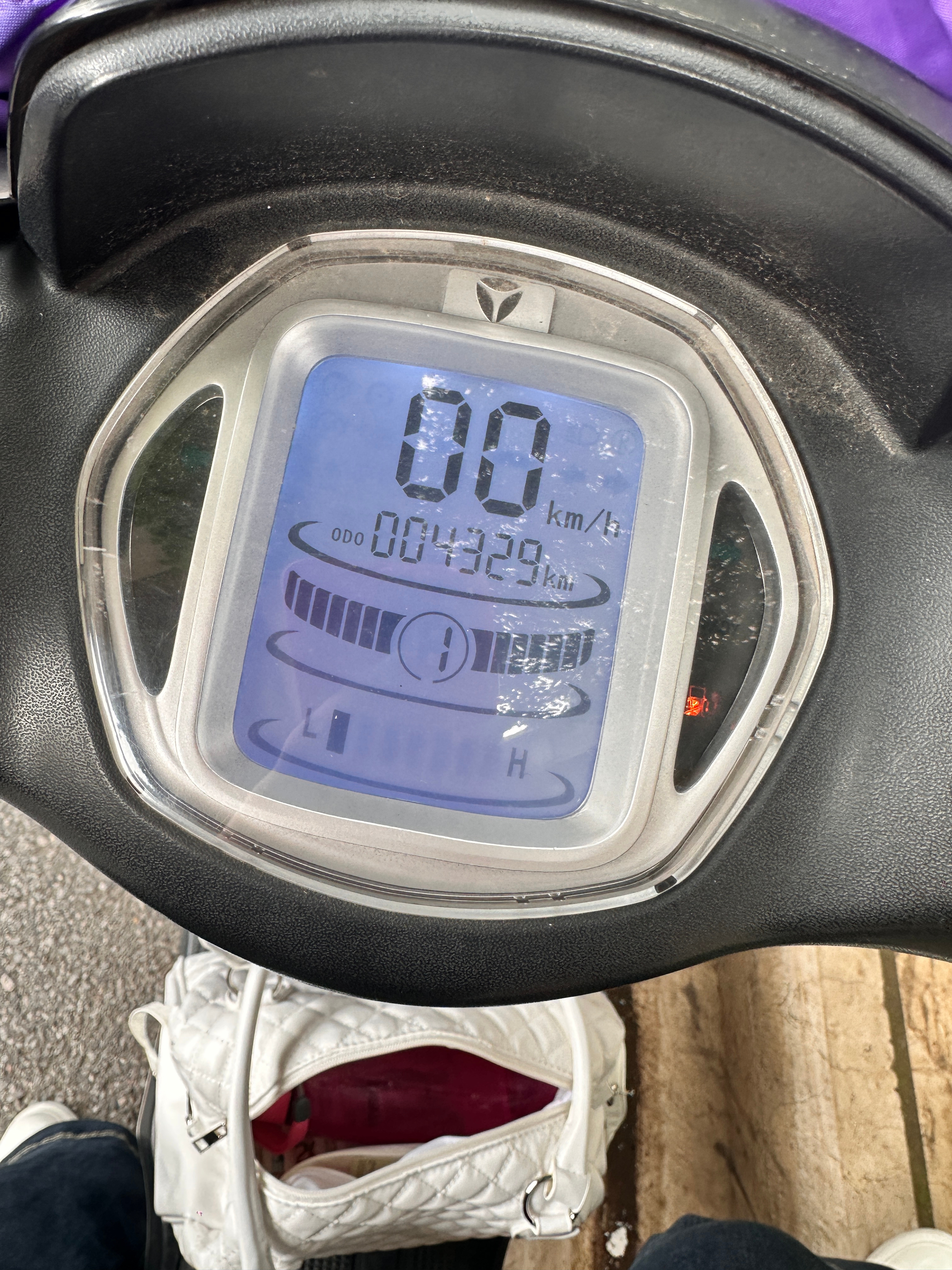 八月别这样对我