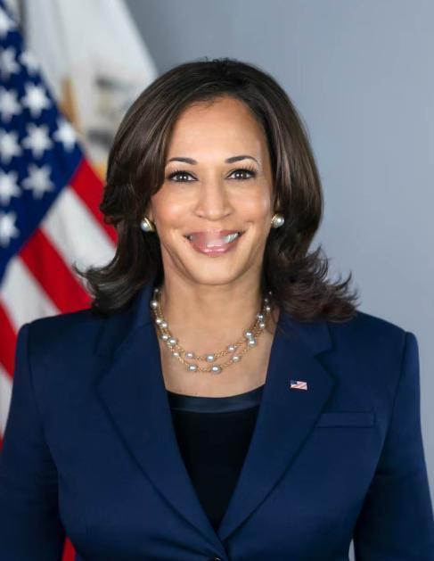 2028年美国大选，就是哈里斯对万斯，两位美国副总统对决！一个是没能力的建制派亲