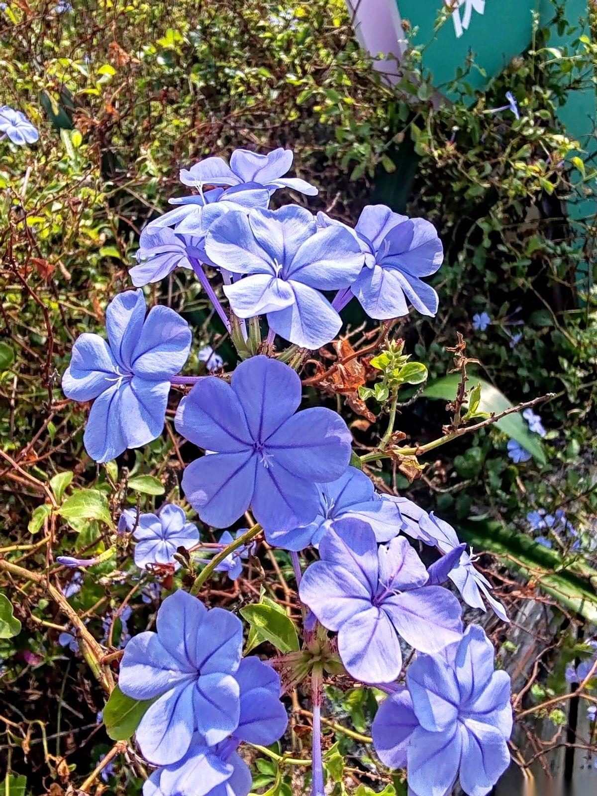 摊牌了，不装了。
我跟我儿媳妇这场看不见硝烟的“厨房战争”，最后是外卖小哥统一了