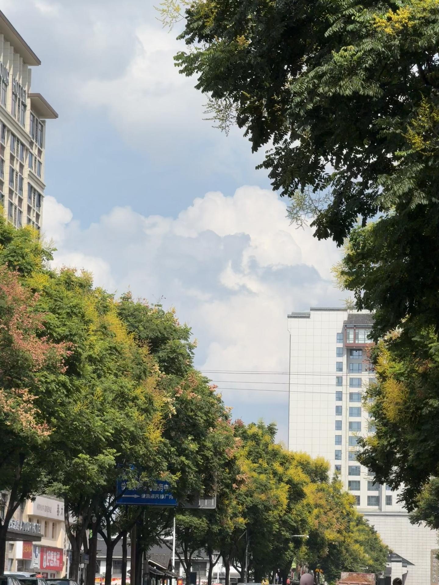 夏天 治愈 城市一角 夏天该有的样子 随手拍