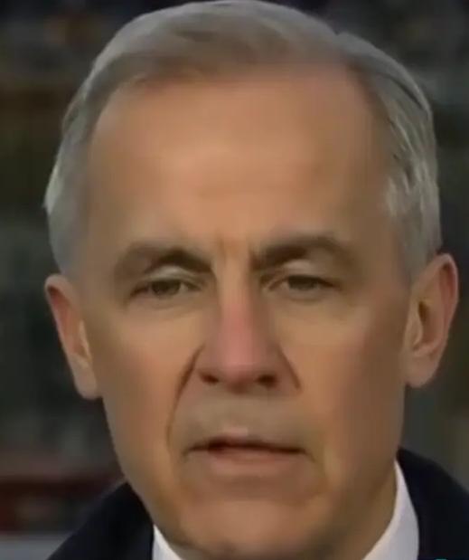 这个总理危险了，就在美国旁边，晚上睡觉都不踏实了！加拿大总理卡尼：美加关系比起来