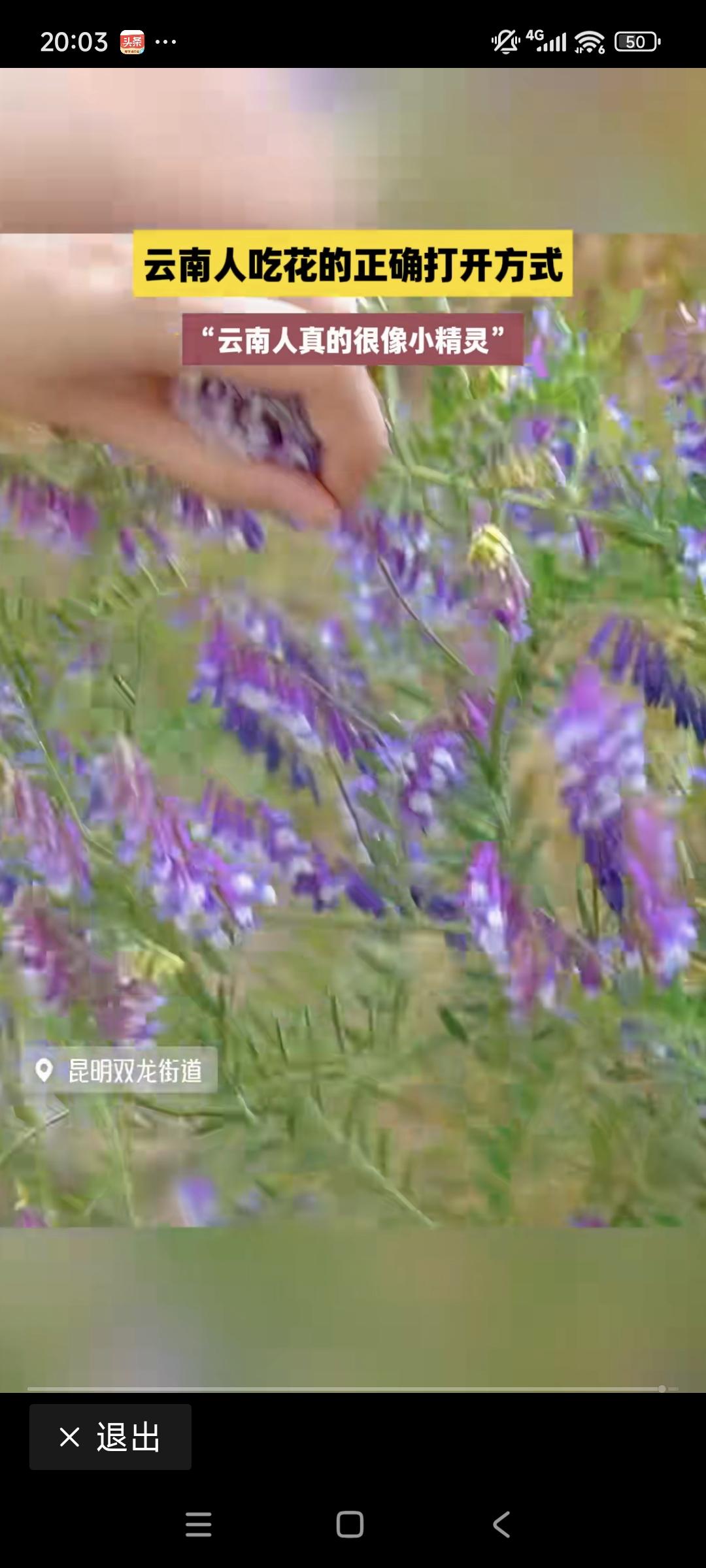 又到了一年春天，云南人吃花的季节，原来苕子花也可以用来做菜吃？以前不知道呢。
我