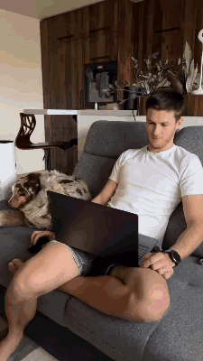 己所不欲勿施于狗！ 