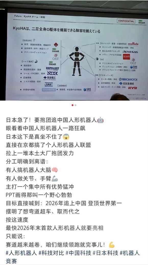 倭倭头表示：八嘎，老🕰️的机器人大大滴厉害！企业滴，分工联合滴干活，发展机器人