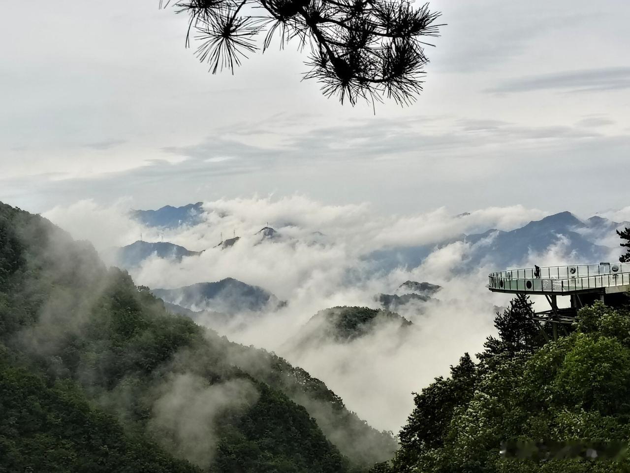万水同朝色。