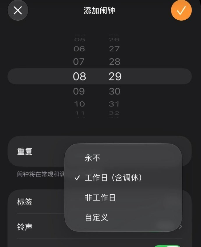 iOS27 调休闹钟话说这个功能应该只有国行版才有吧，毕竟只有我们才有调休这个东