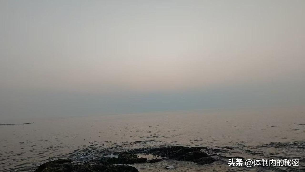 她通晓数学、天文、医学与诗文，
却生在“女子无才便是德”的时代，
连踏入考场的资