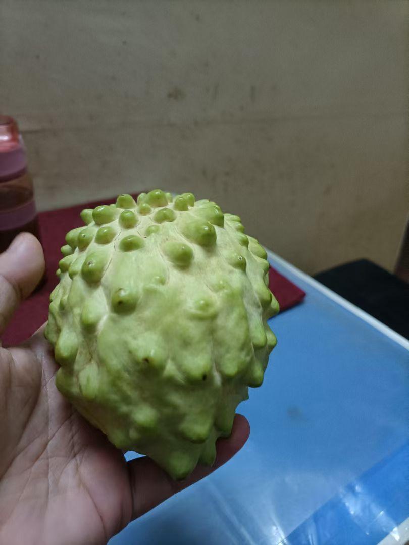 大家好，我是七姐，今天有一位网友问我，你做自媒体用的是什么手机？首先一点，我从做