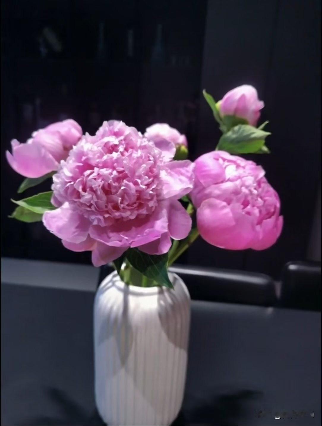 一个女性朋友说
我不是不婚主义者 
也不是必婚主义者
我是幸福主义者
所以我找的