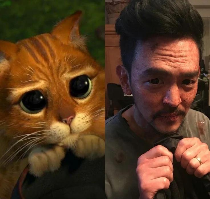 约翰赵｜我不行了吧
怎么这么萌！
约翰赵 JohnCho 细糠哥 叔圈