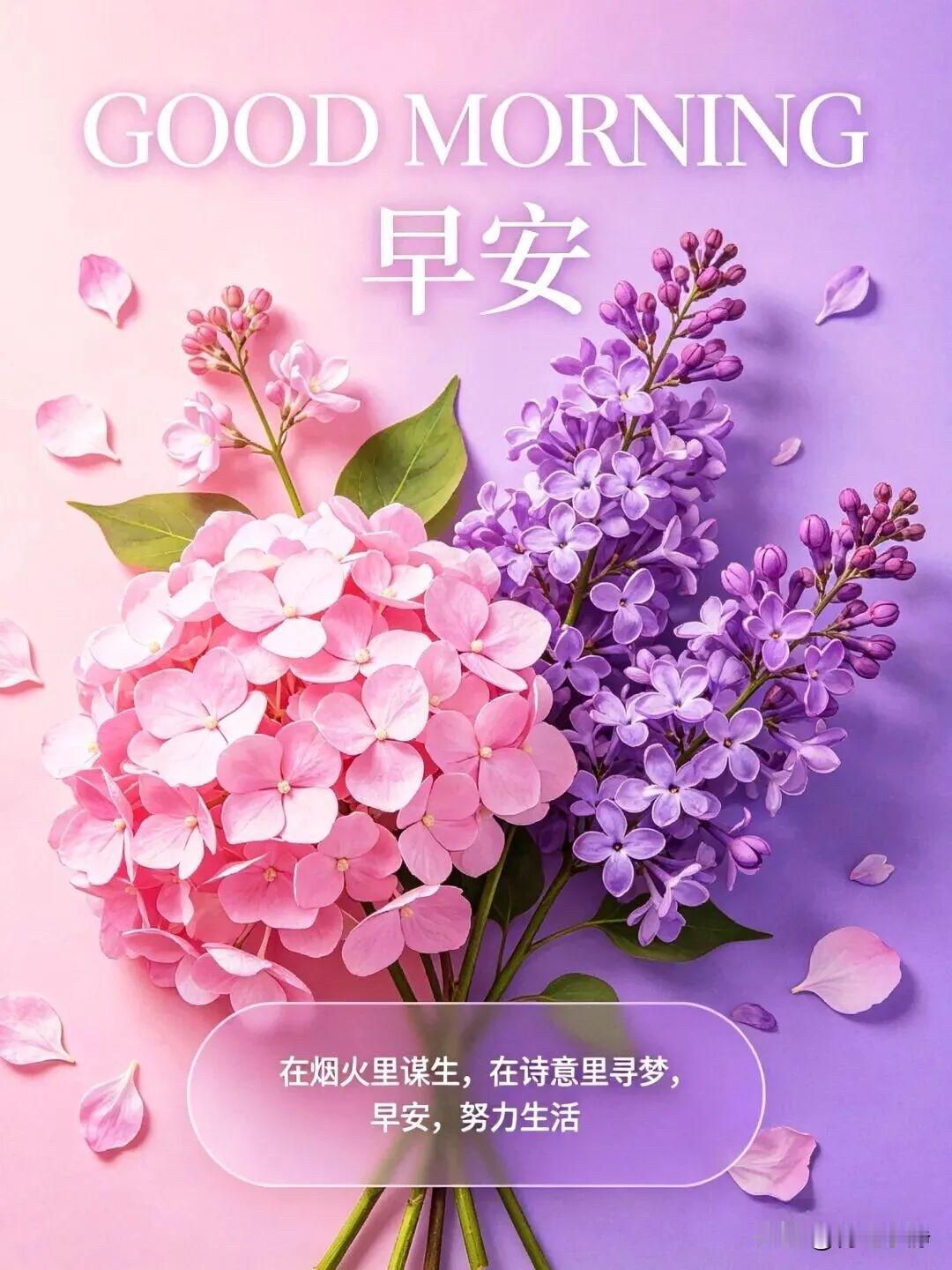 🍎 ²⁰²⁶/₀₄.₂₁🧨ᵕ̈ 🐎🍃🌻🍒🍡
🍃𝐌𝐨𝐫𝐧?