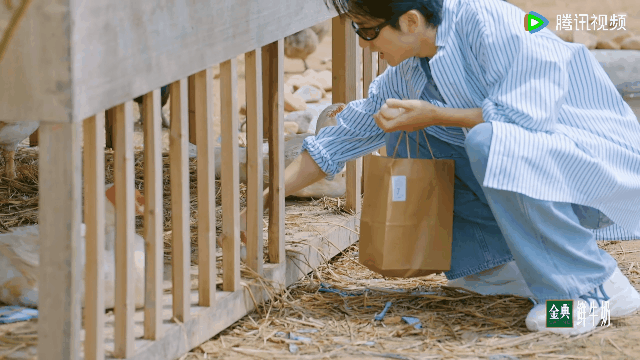 #张新成富豪变负豪#无论如何也没想到你竟然是这样的张新成！前期各种疯狂买东西，而