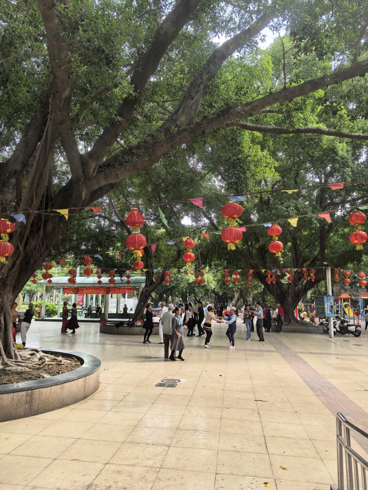 冬日生活打卡季