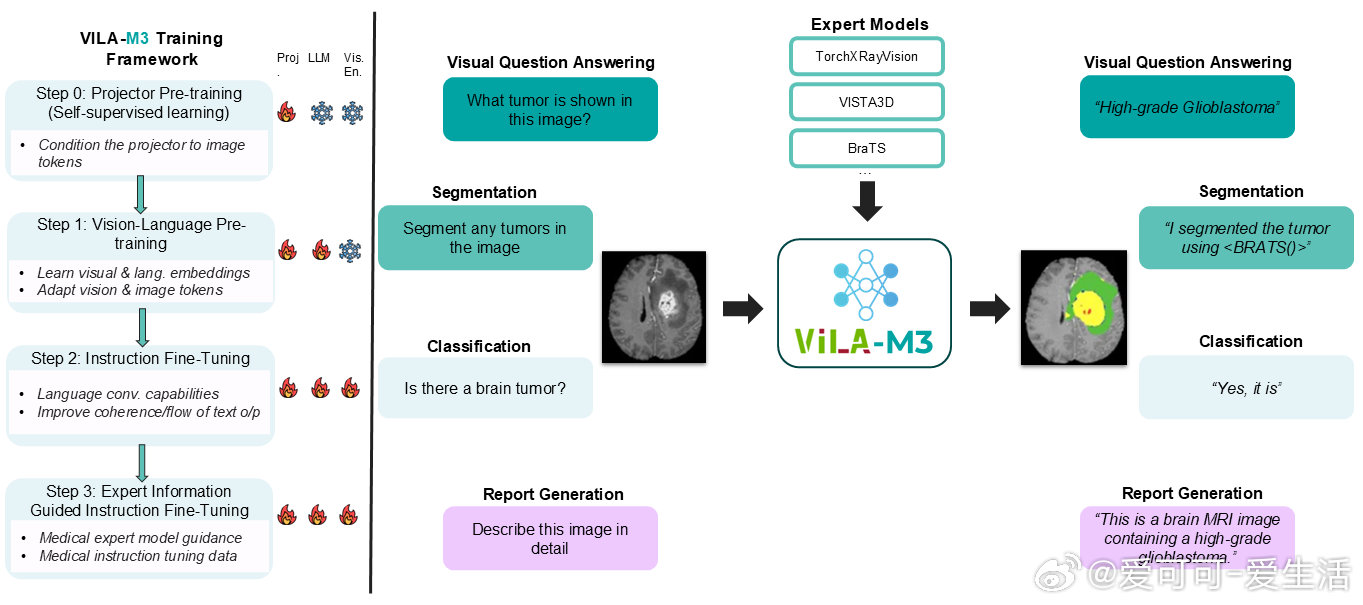 【[114星]VLM-Radiology-Agent-Framework：医学影