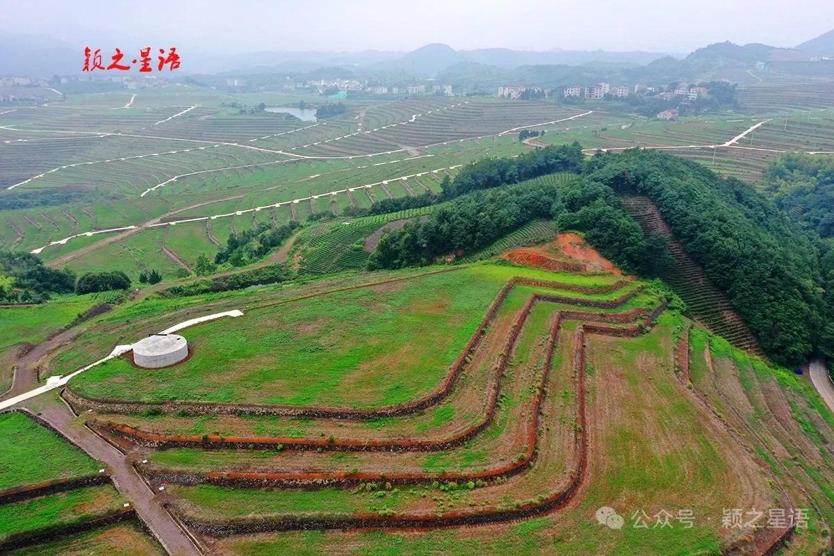 近些年流行粮田上山了，开垦这些梯田只是为了补充城市建设占用的土地面积，种不种作物