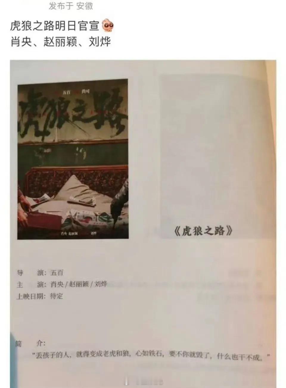 🍉肖央、赵丽颖、刘烨《虎狼之路》 ​​​