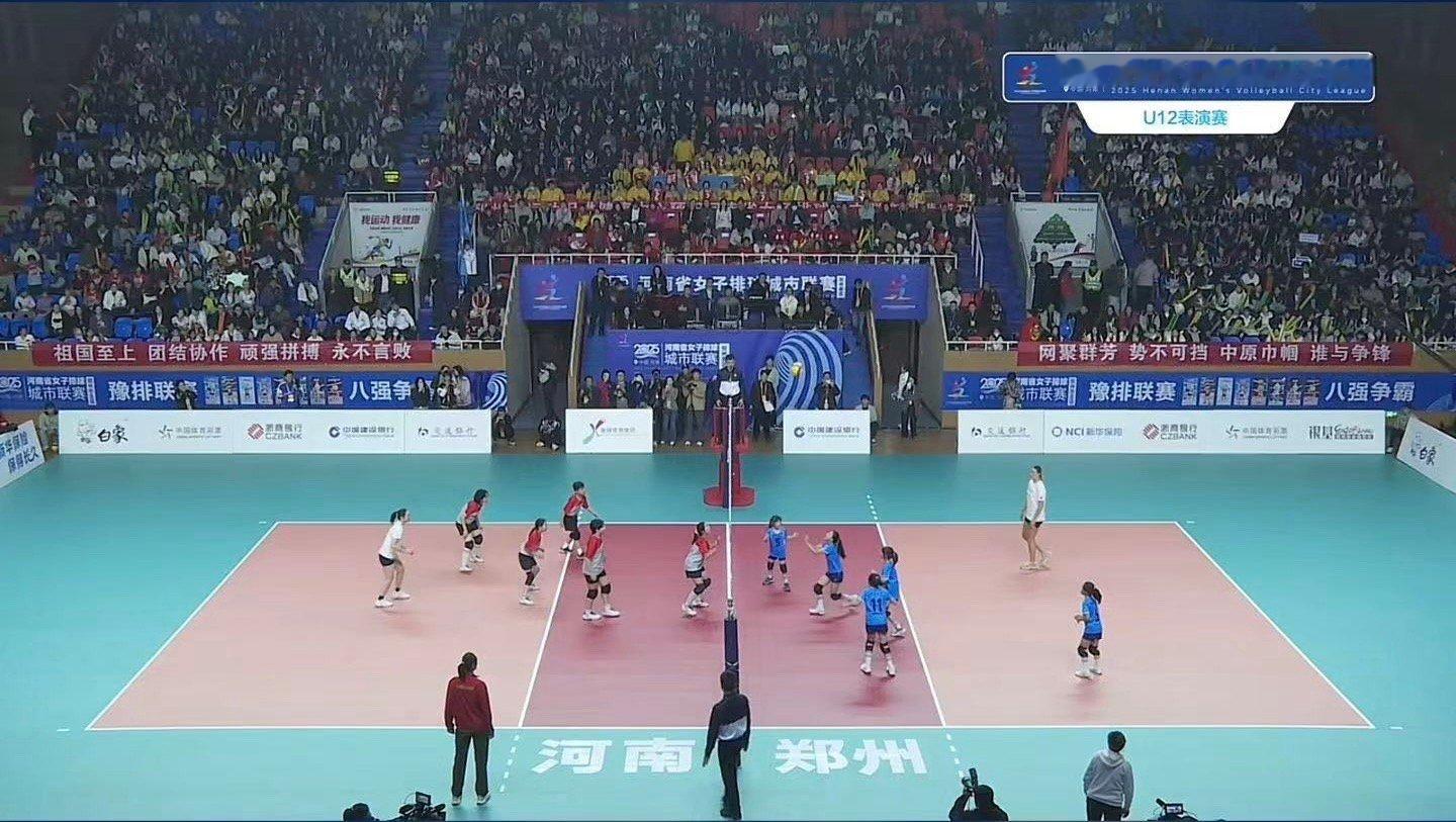 蓝队小二传好小只[泪奔] ​​​