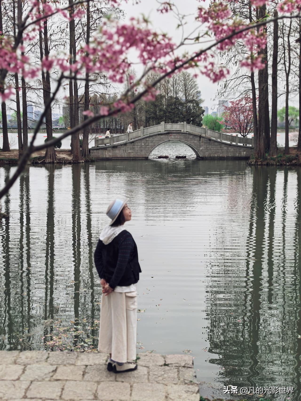 想起3月23号去鼋头渚游玩，里面中樱花只开了一部分，最后要到景区大门了，发现小水