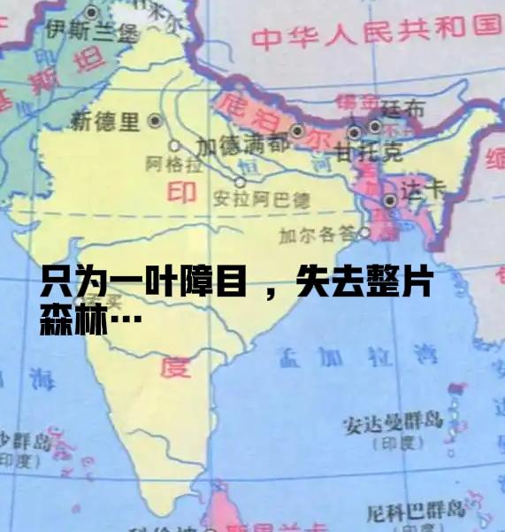 中国的贸易洽谈会应接不暇人来人往，印度的招商引资会冷冷清清凄凄惨惨，
投资者的炼