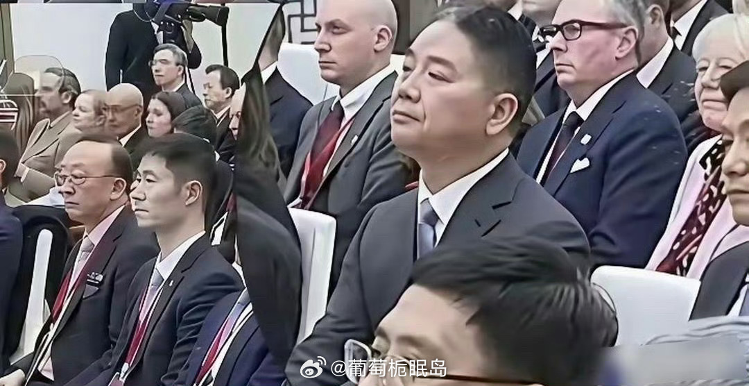 刘强东是真牛，出国开会，旁边雷军都得带着翻译耳机，他压根不用带，自己就能听懂 ​