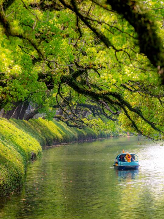 中午在潮州西湖呆了一个小时！