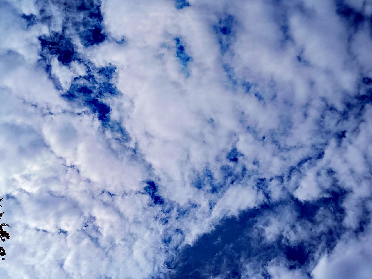 可以分享一张你拍的天空美照吗这幅蓝天白云图景，云层如絮、如浪、如思绪般铺展，深蓝