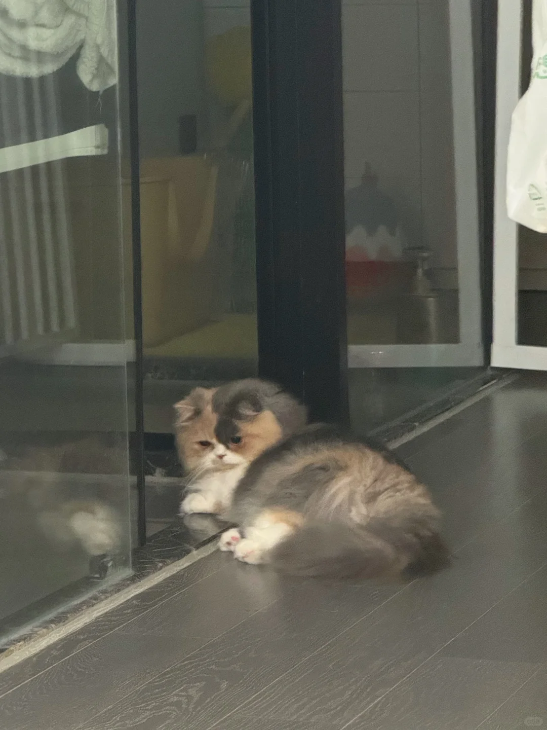只是不让她上床而已 我做错了吗