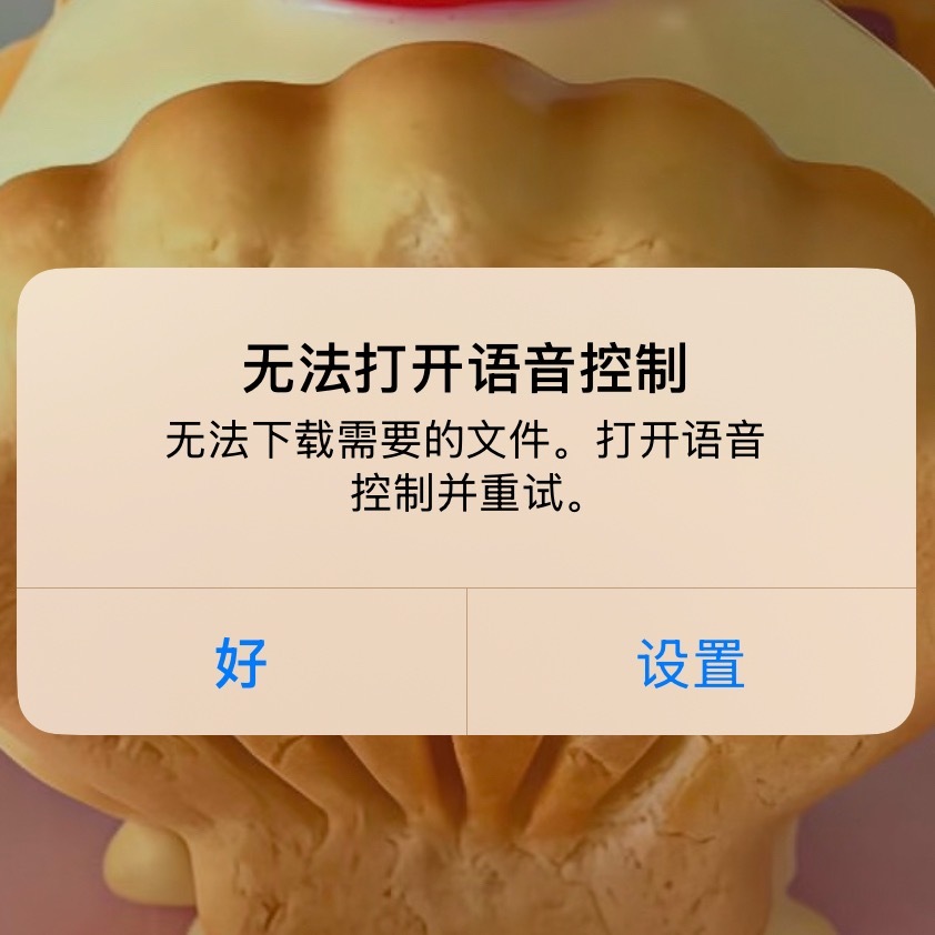 然后就是我的语音控制坏掉了呀然后就不能回私信了 