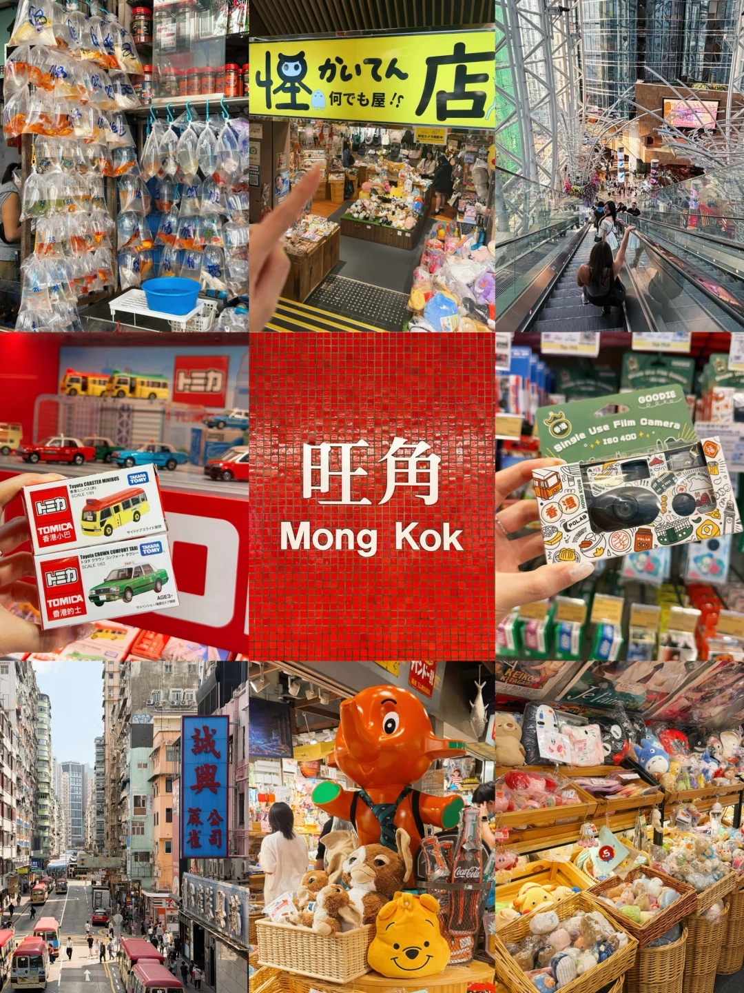 📍香港旺角Citywalk一日游攻略‼️懒人抄作业