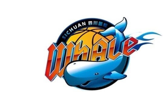 四川队42连败结束整个赛季真的牛逼cba