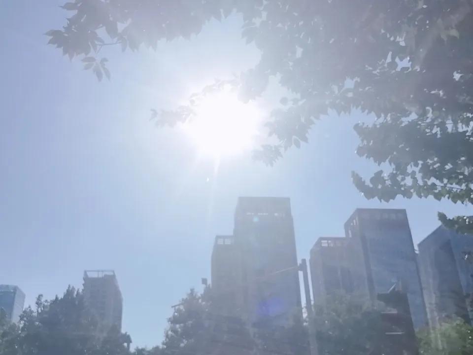 夏日生活打卡季我蒸熟了两颗鸡蛋