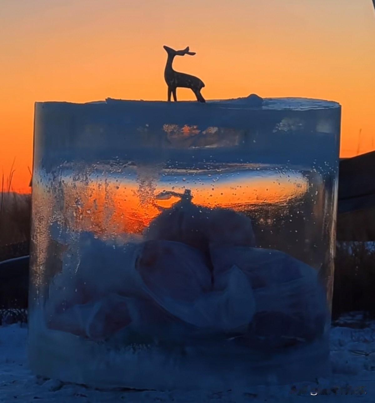 冬日生活打卡季