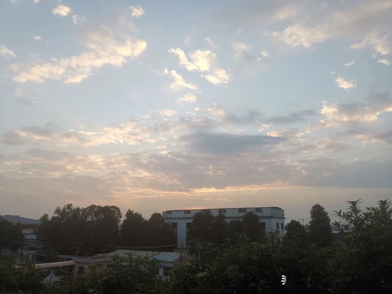 晨光