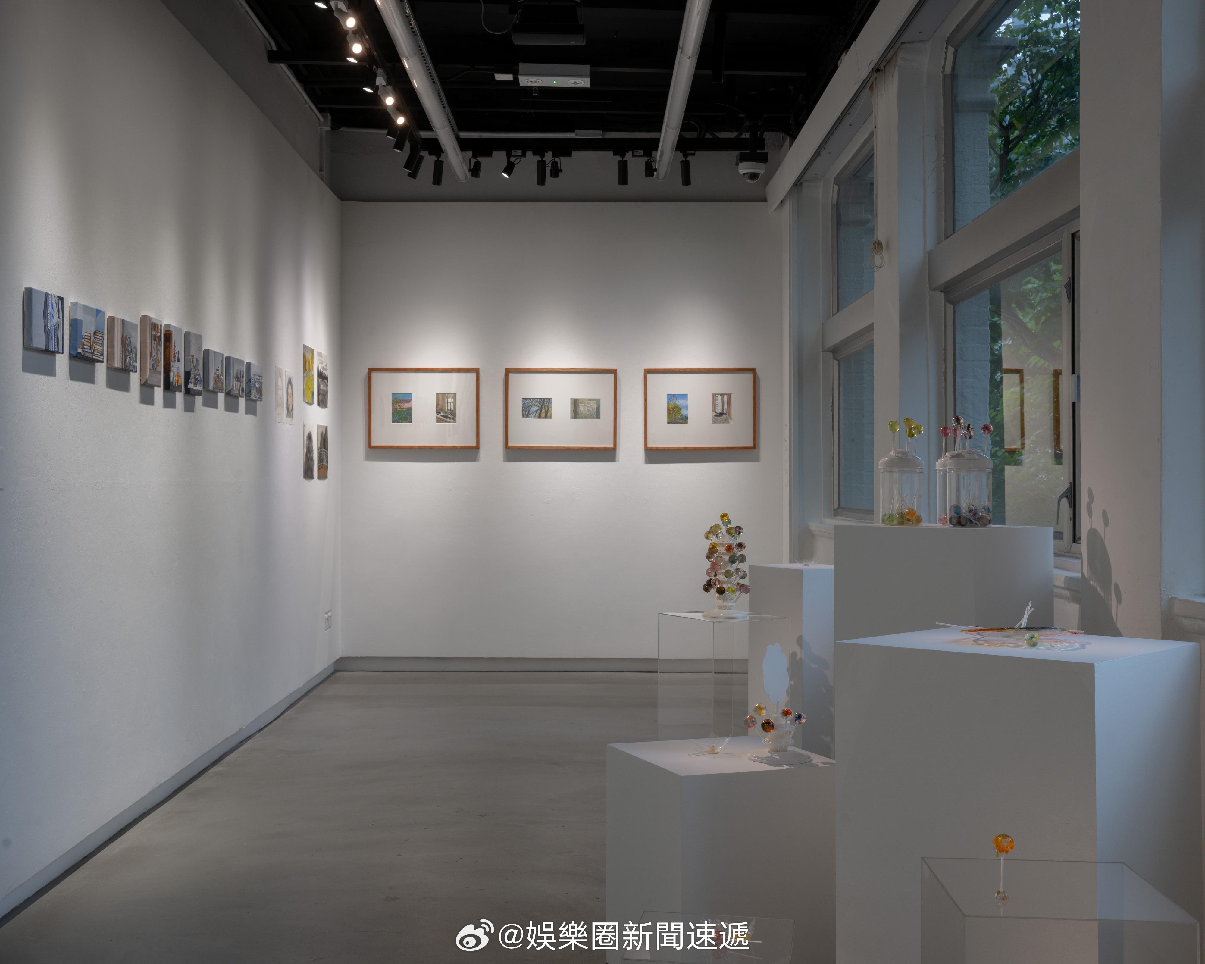 視覺藝術中心 「香港視覺藝術中心展示藝術專修課程畢業生作品..」藝術推廣辦事處轄