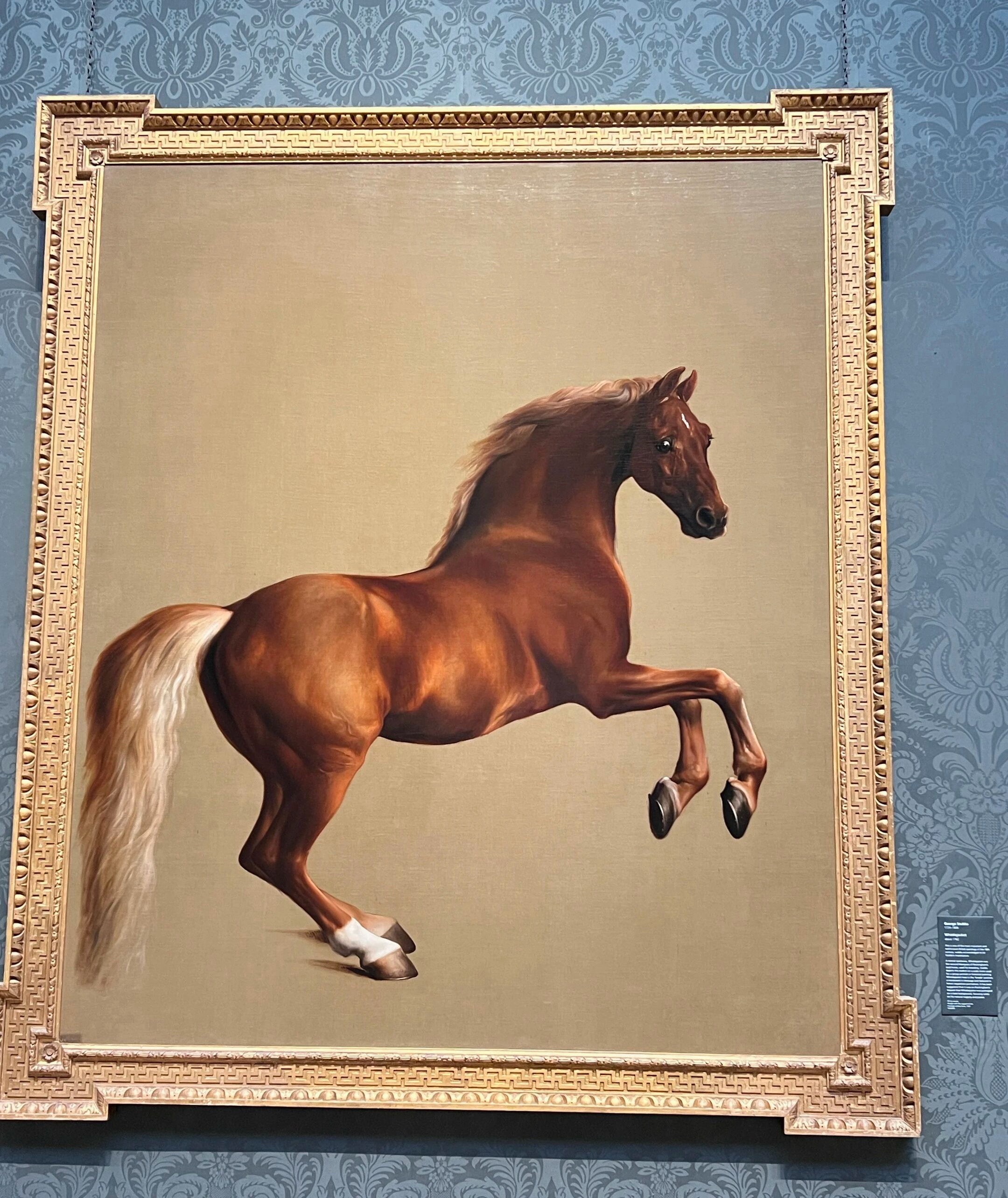 George Stubbs《Whistlejacket》 ​​​