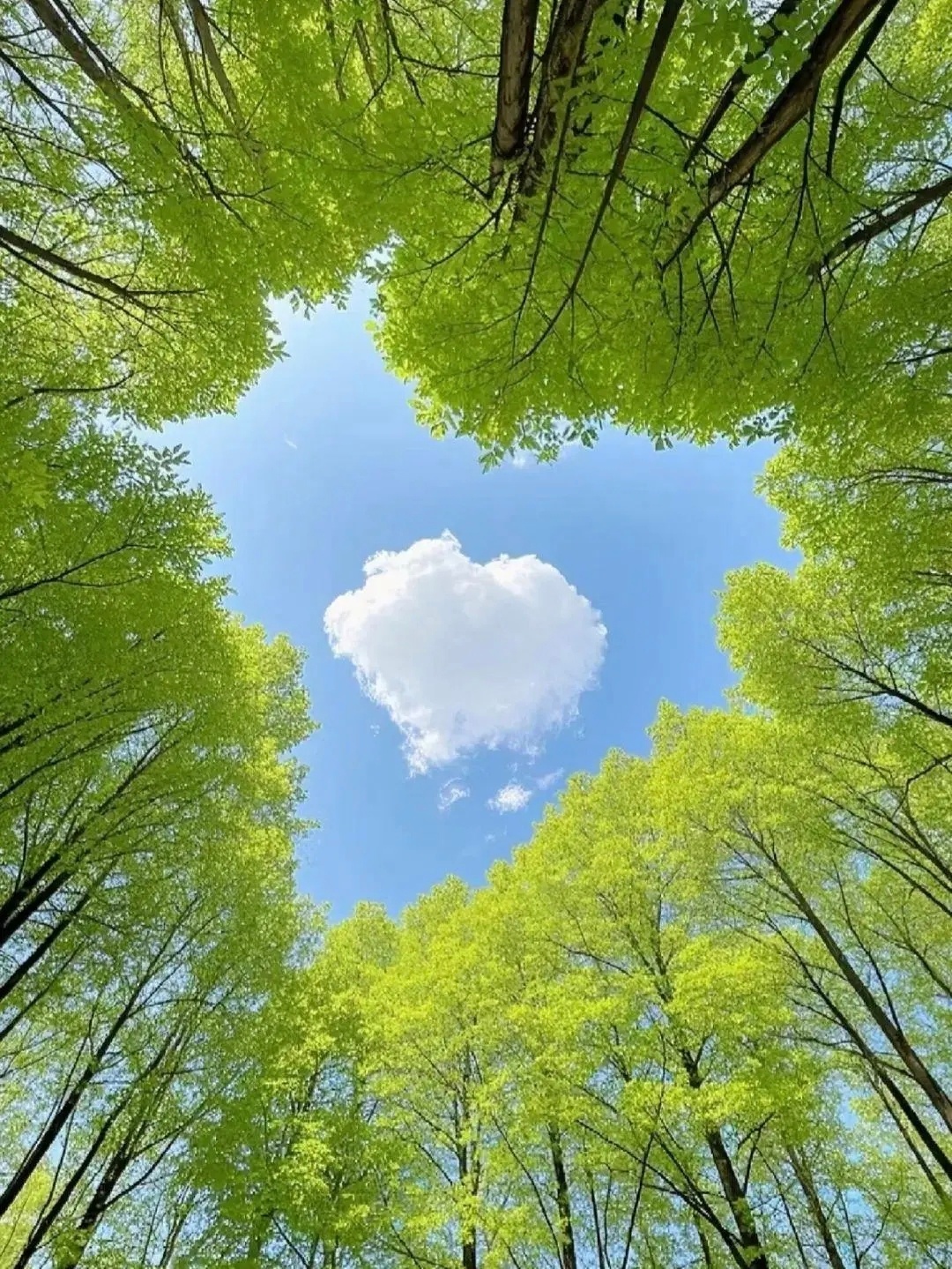 不必光芒万丈，始终温暖有光就好 