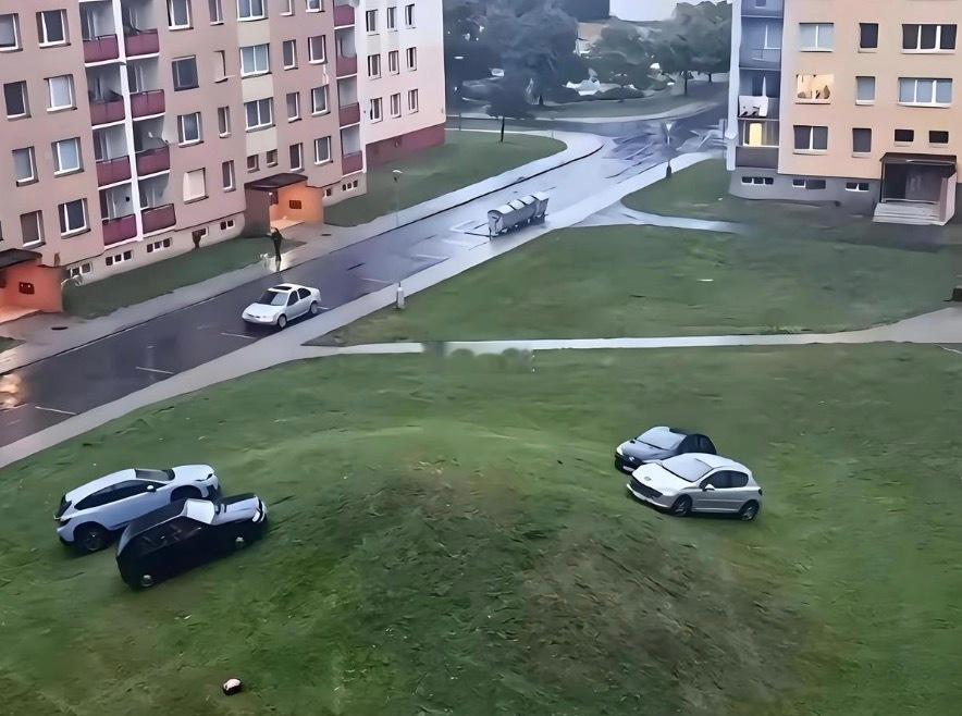 每个小区，都有几个大聪明。 